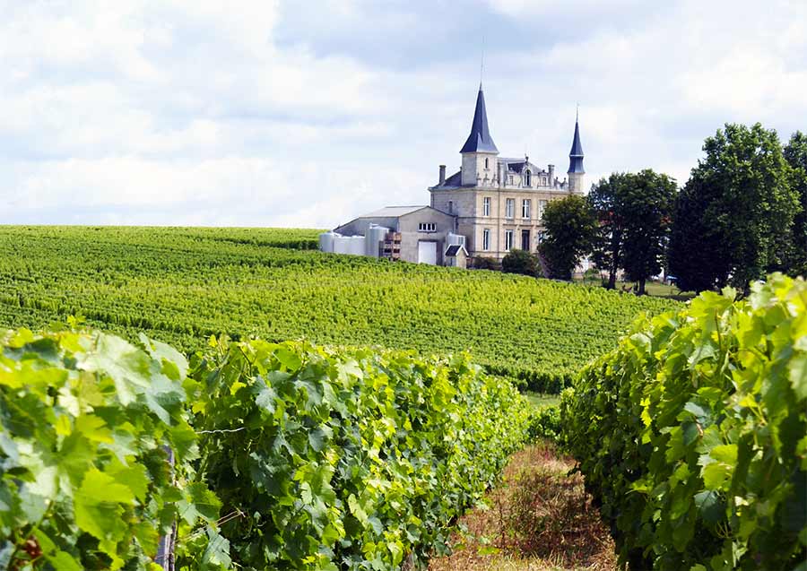 bordeaux-wine-tour2