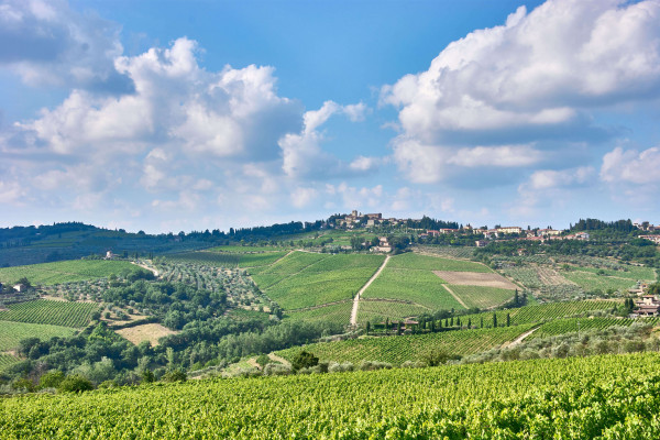 Castellina-in-Chianti-A-hidden-Gem-in-the-Chianti-Region-04-600x400