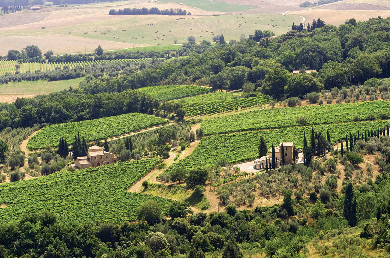 Il-Palazzone-vineyards-Montalcino