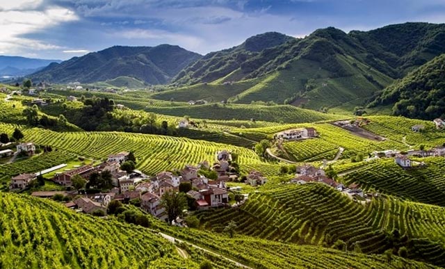 colline-prosecco