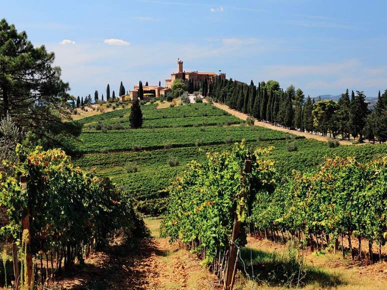 item1-rendition-slideshowwidehorizontal-castello-di-banfi-brunello-di-montalcino-italy-sopa-corbis